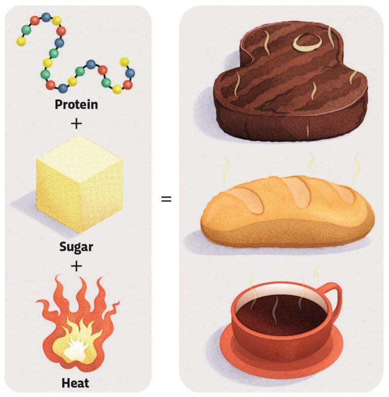 What Is The Maillard Reaction Bbc Science Focus