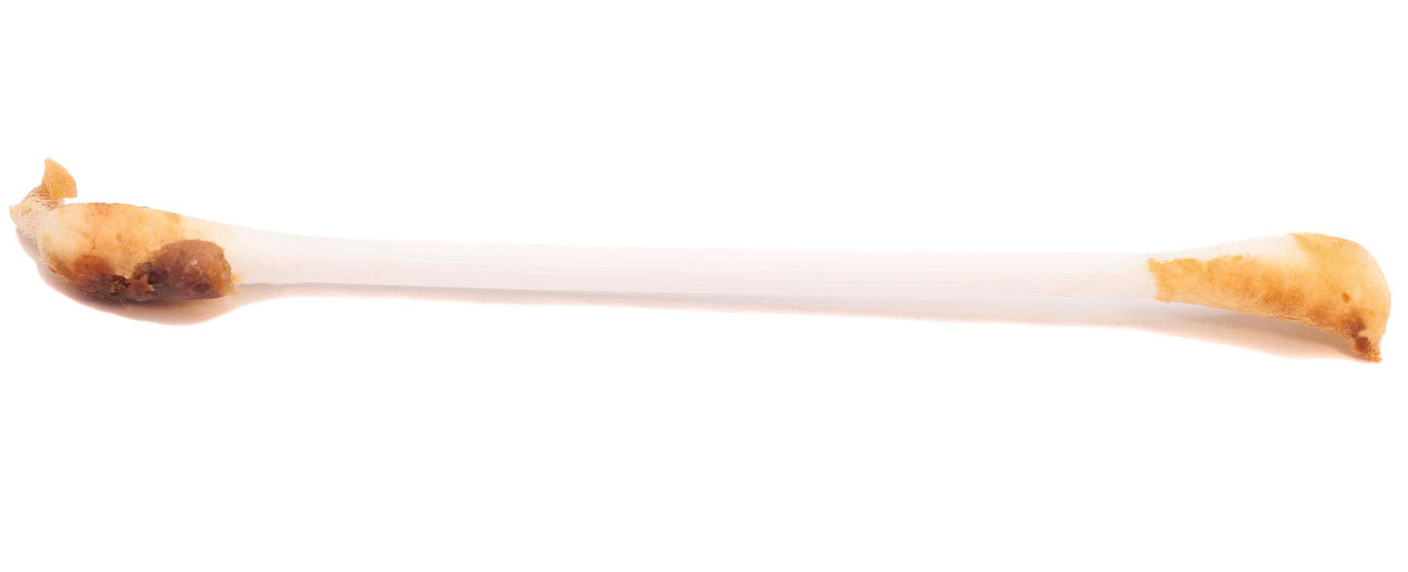 Can you make a functioning candle from earwax? BBC Science Focus