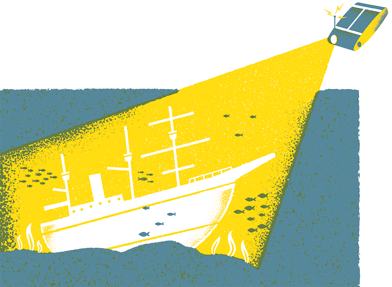 Christmas Quiz BBC Science Focus