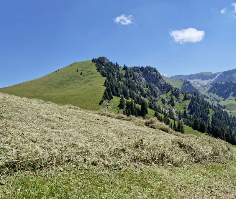 Klima Alpen bereits im Sommer braun Schweizer Bauer