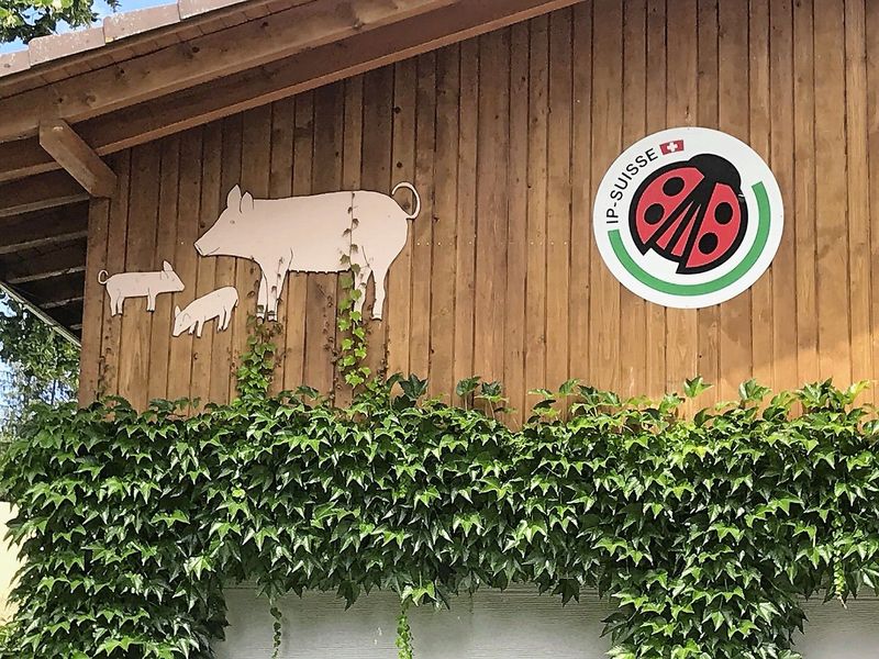 IPSuisse Anpassungen bei Biodiversität Schweizer Bauer