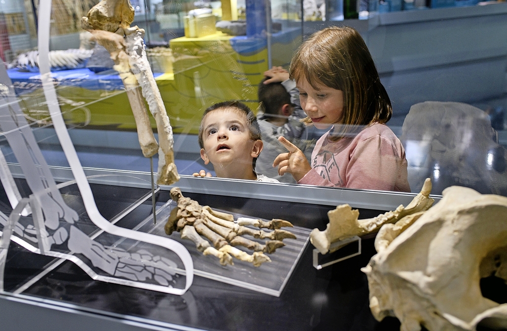 Mit Den Kindern Ins Museum - Freiburger Nachrichten