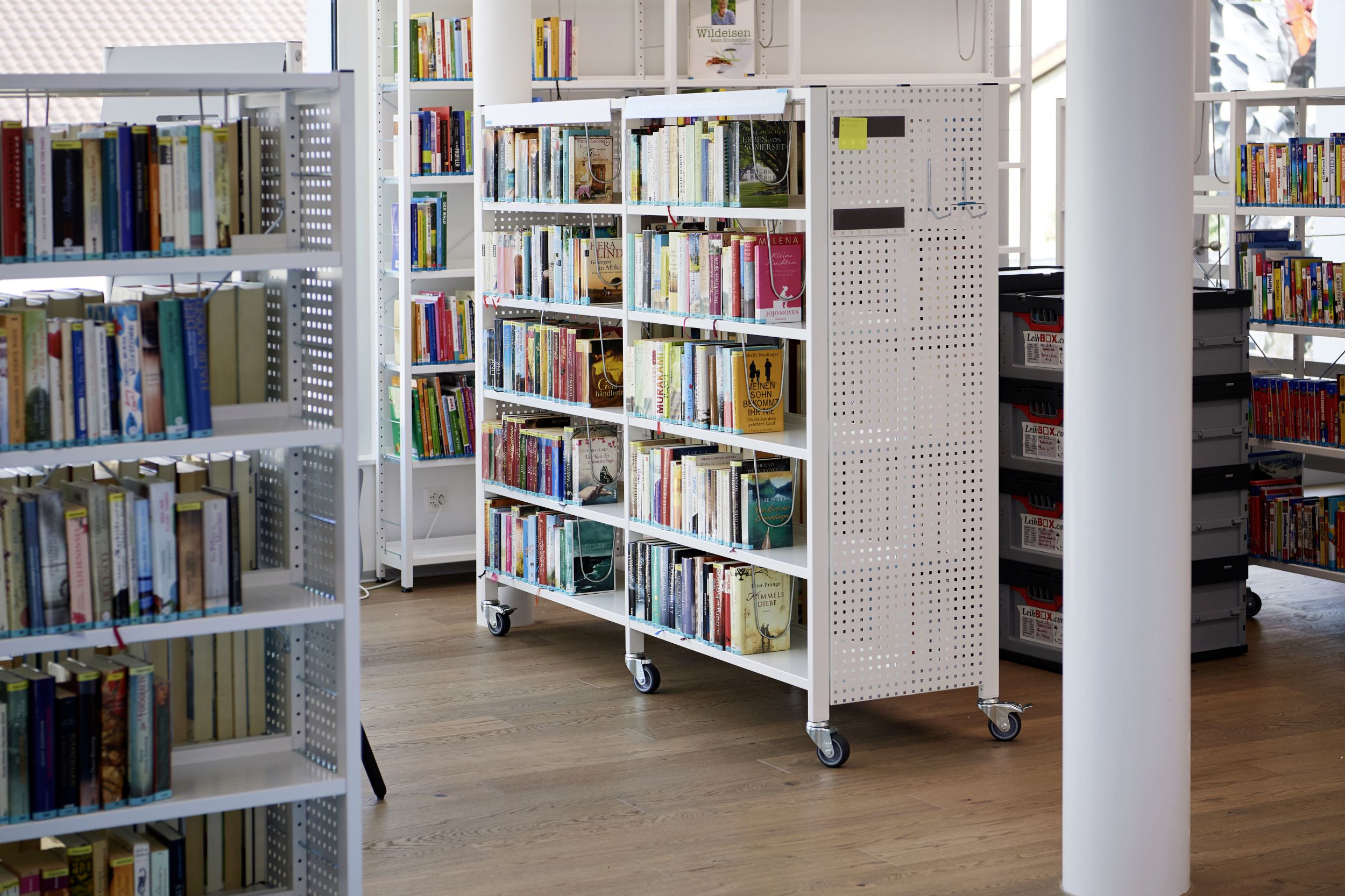 Die Freiburger Bibliotheken neu entdecken - Freiburger Nachrichten