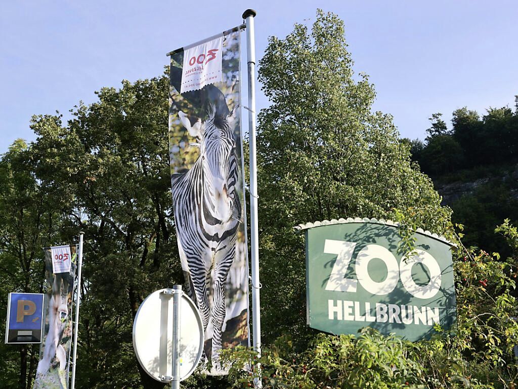 German Zookeeper Killed by Rhino: Tragic Incident Shocks Salzburg Zoo