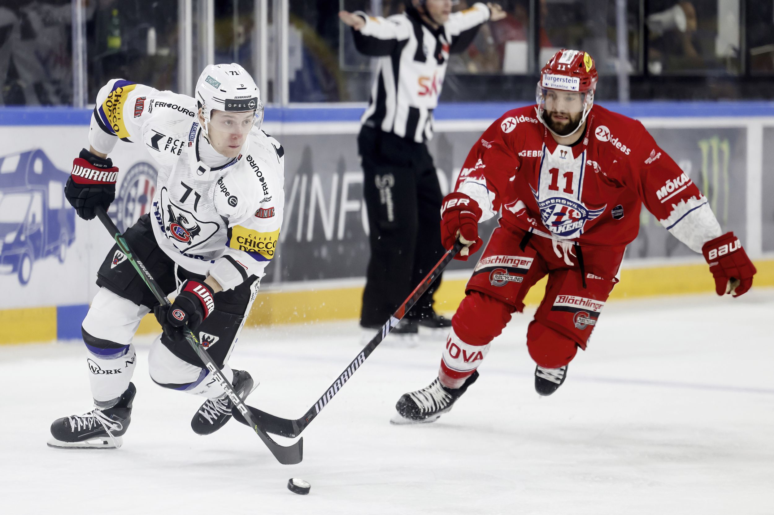 Killian Mottet und Christian Dubé Zwei wie Hund und Katze Freiburger