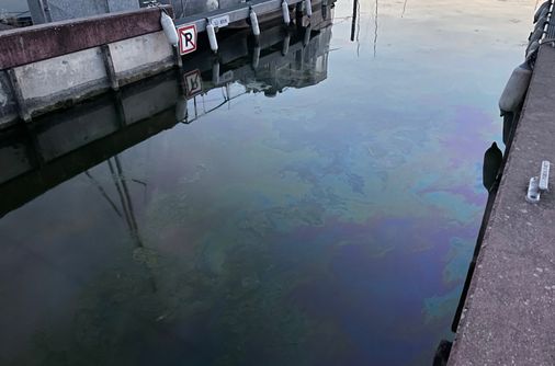 Verschmutzung am Hafen von Murten. Bild: Kantonspolizei Freiburg