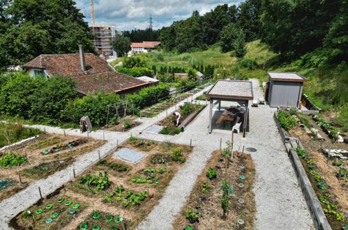 Der Gemeinschaftsgarten Couleur Jardin blüht in Marly. Bild: Aldo Ellena