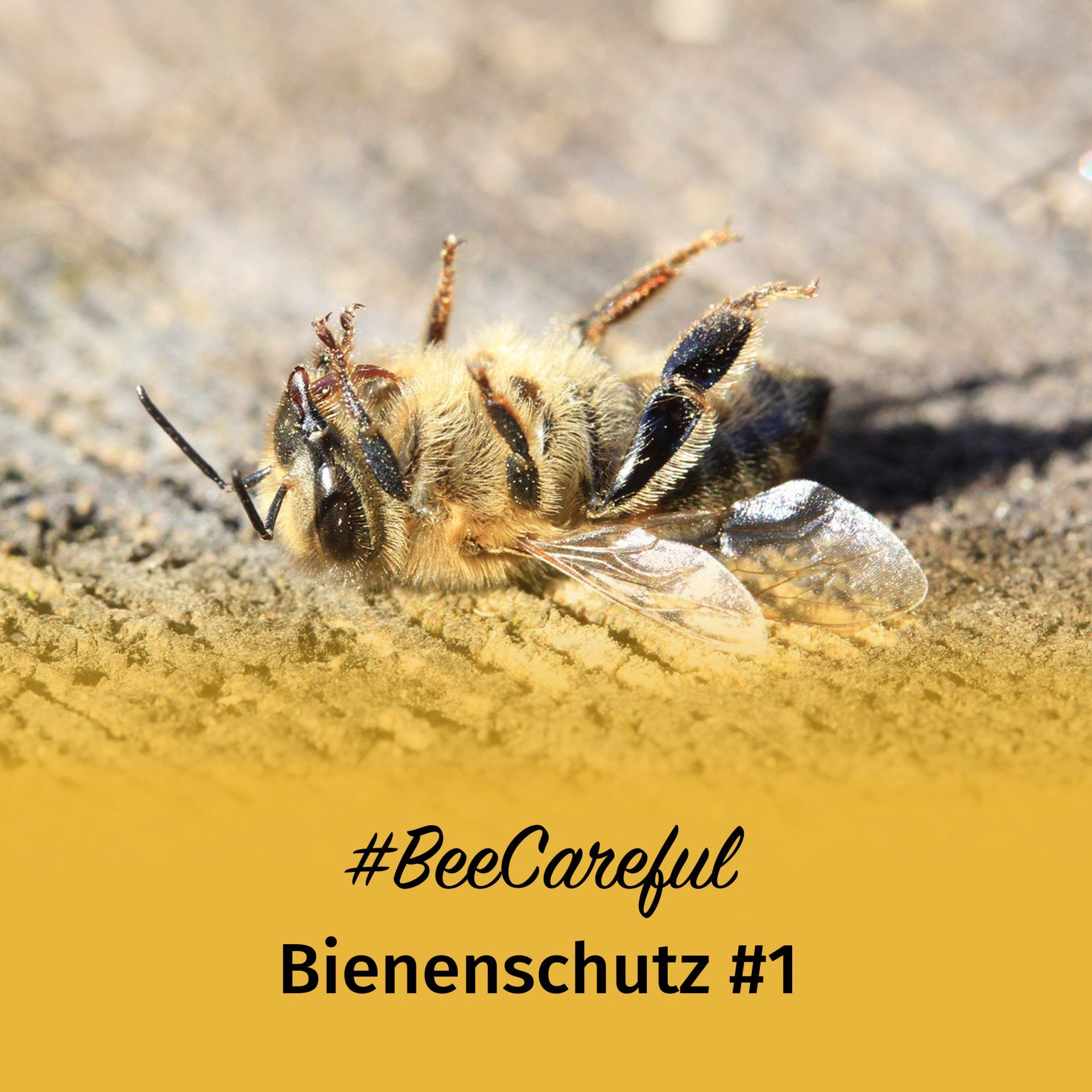 #BeeCareful Bienenschutz