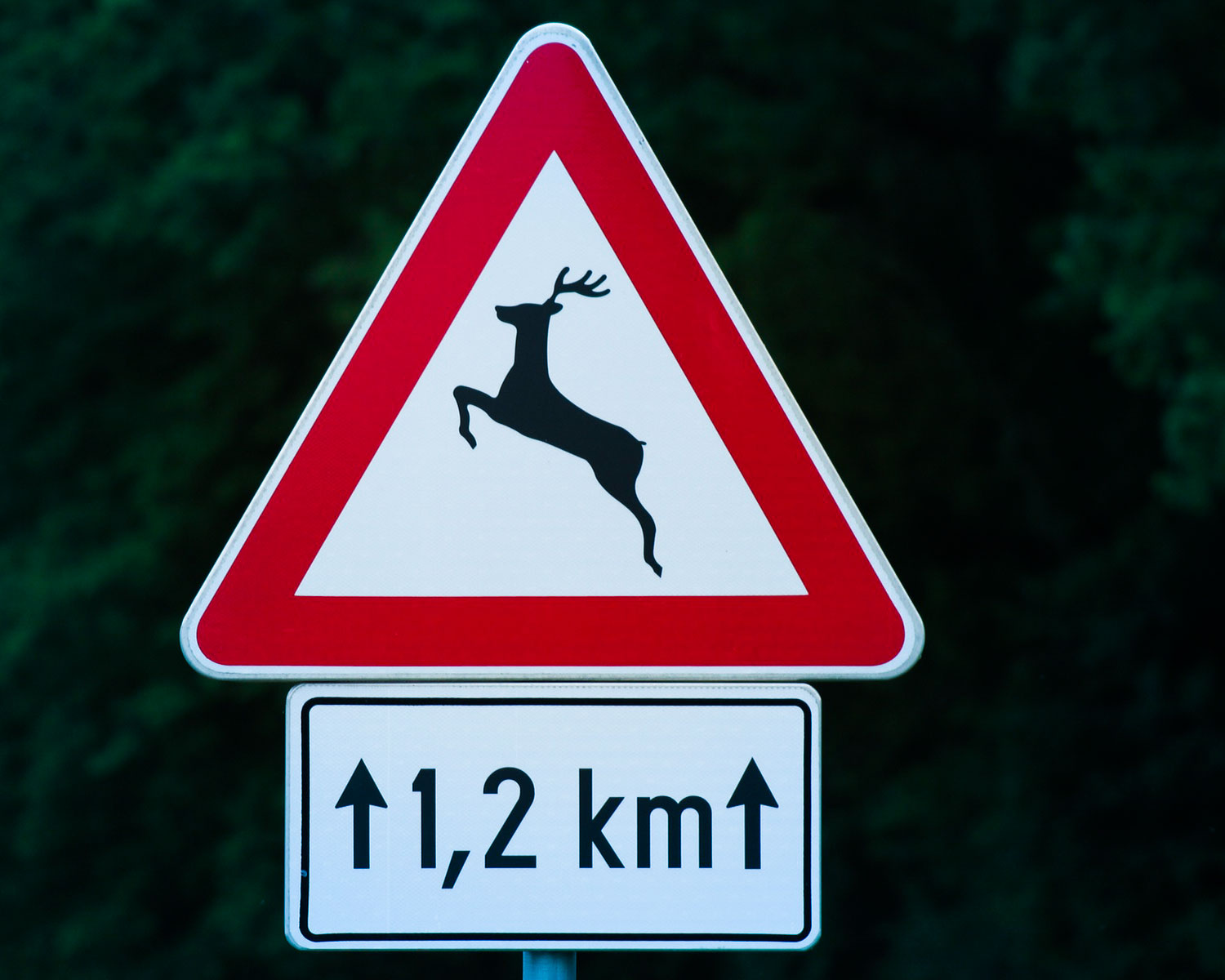 Verkehrschild mit Hinweis auf Wildwechsel