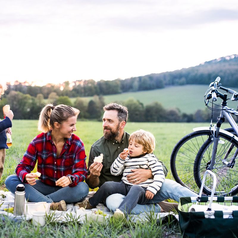 Familie mit Kindern bei Picknick im Freien