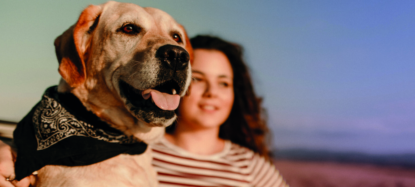 Hund und Hundebesitzerin