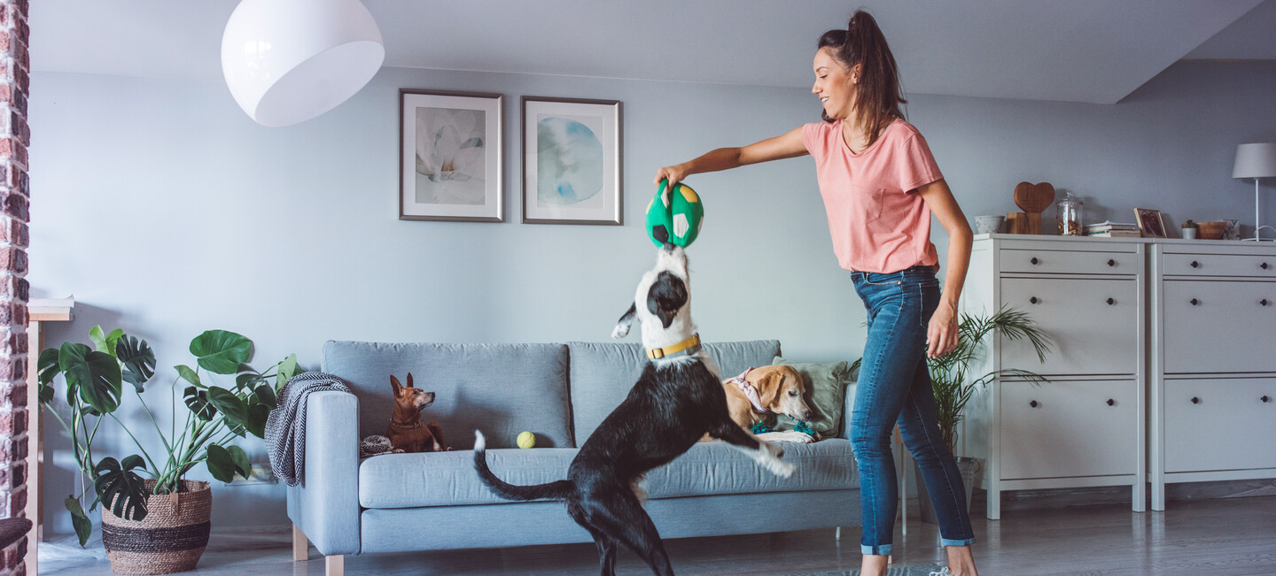 Frau spielt mit ihrem Hund