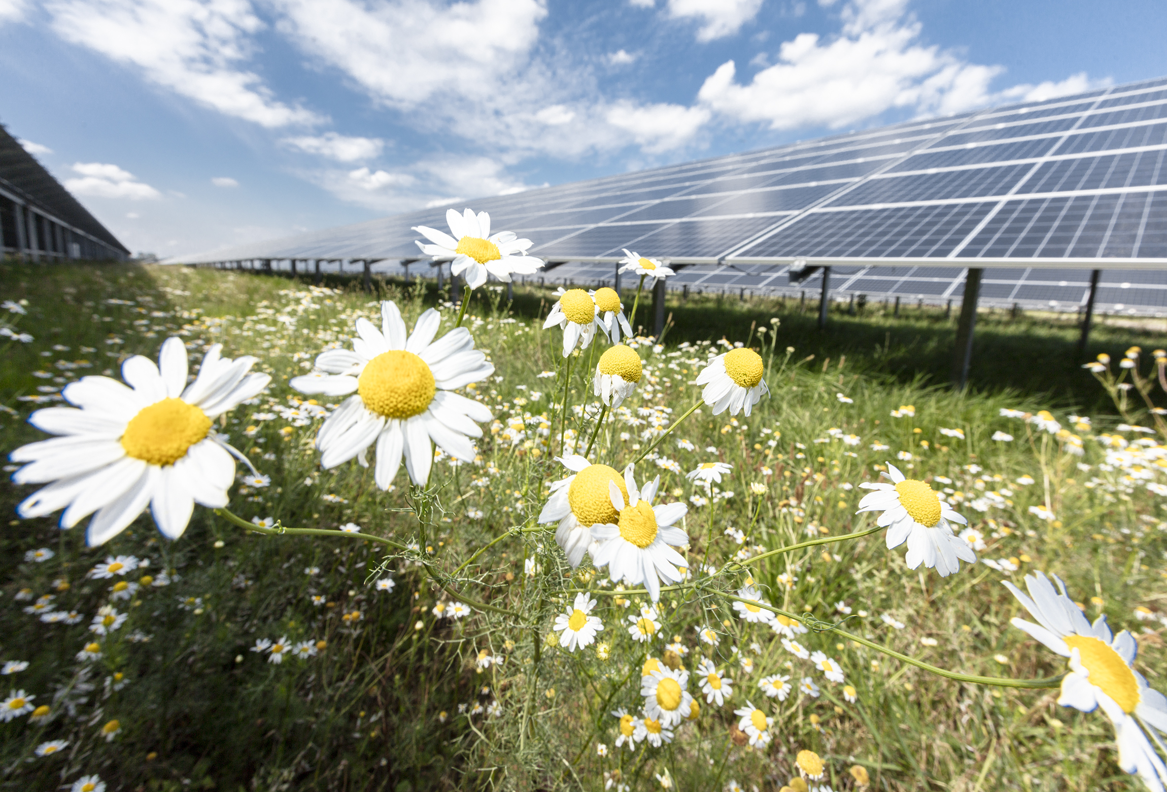 solarpark-enbw