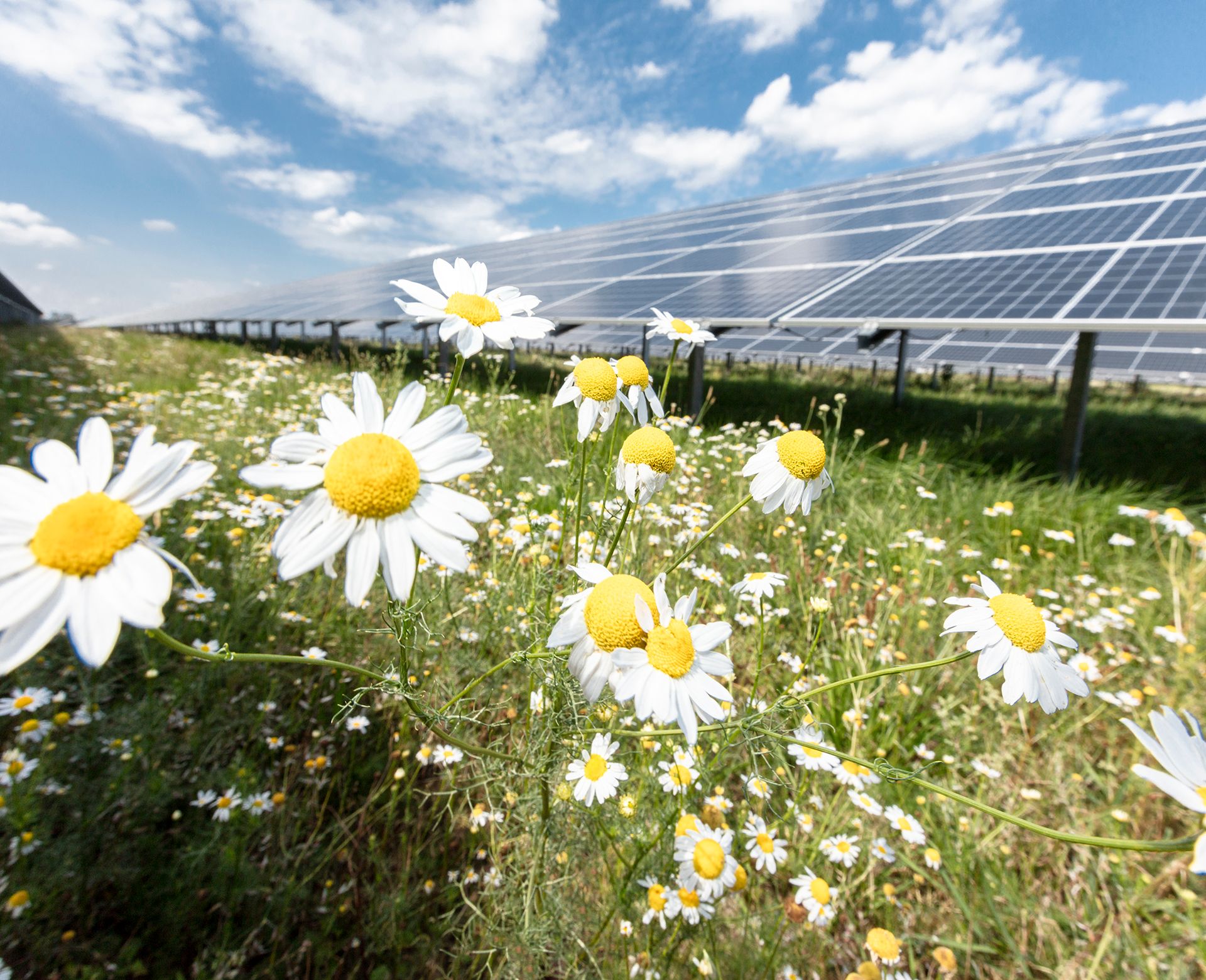 solarpark-enbw