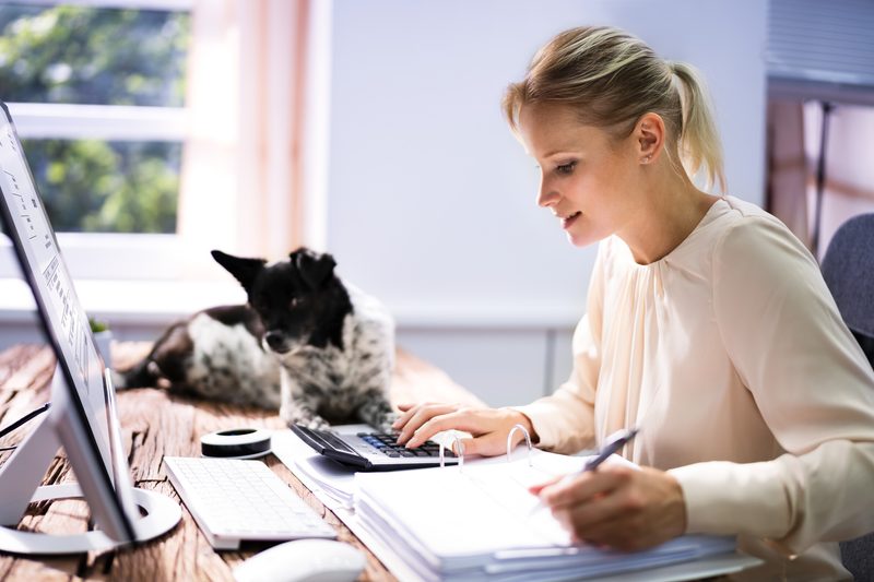 Frau am Laptop mit Taschenrechner